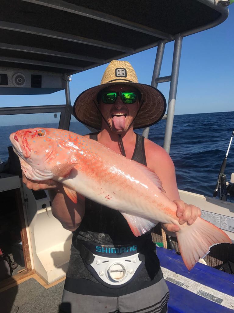 Mackay Offshore Bundle