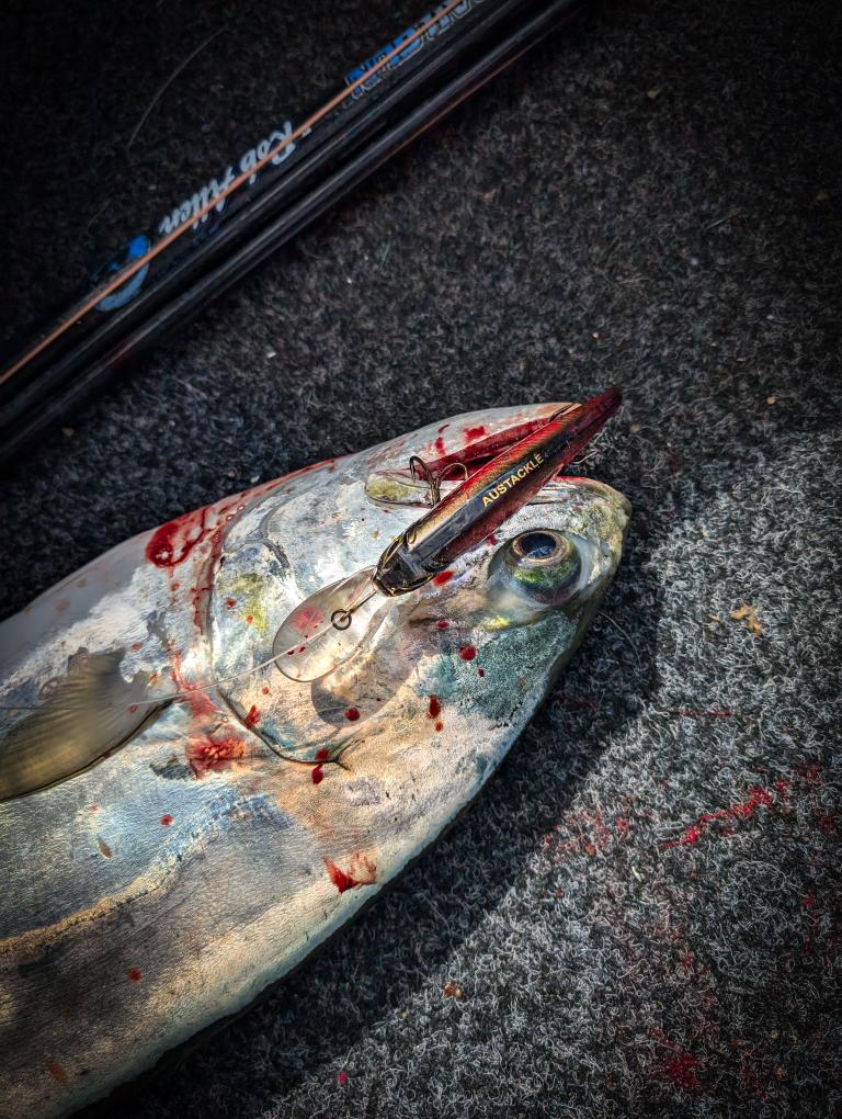 Austackle Reaper 130 Large Crankbaits