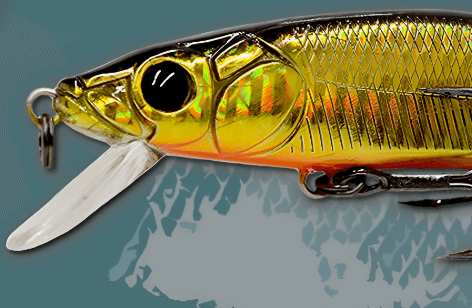Austackle Bruiser Large Crankbaits