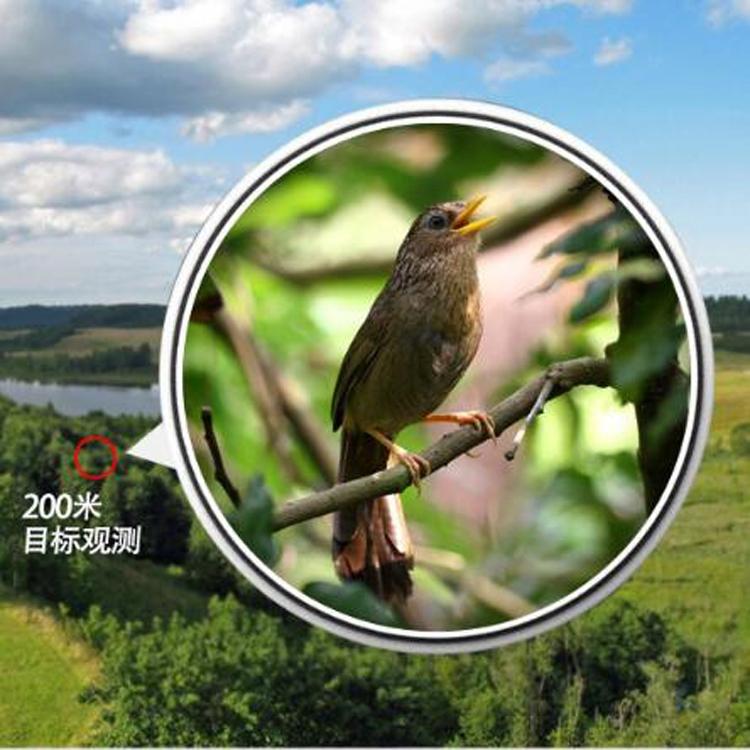 Waterproof Hd Night Vision Binoculars - Nitrogen-filled - 10X42