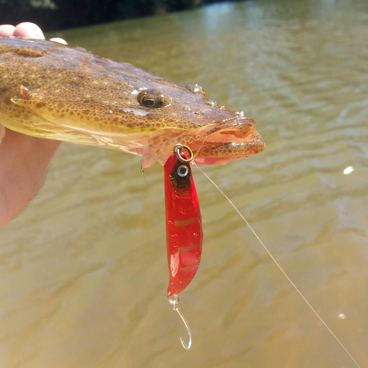 Toppu Mizzu Sidewinder, Bent Minnow, 95mm, Blue Water