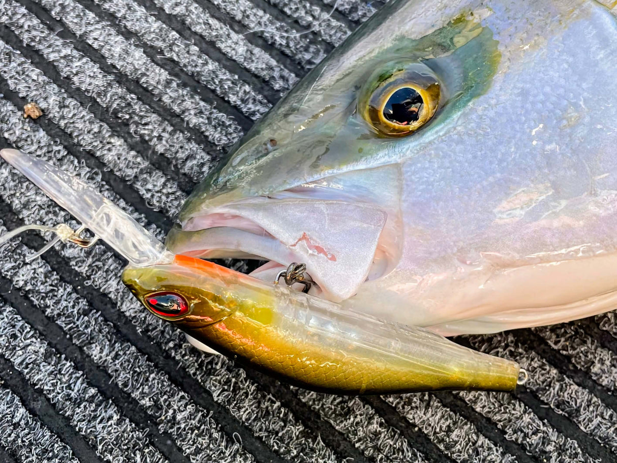 Kingfish Lure Pack - 10 x Proven Kingfish Lures