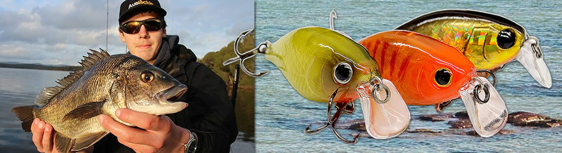Sakana SD40F Crankbait