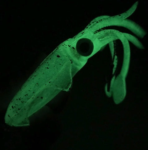 Soft King Squid 60g 153mm