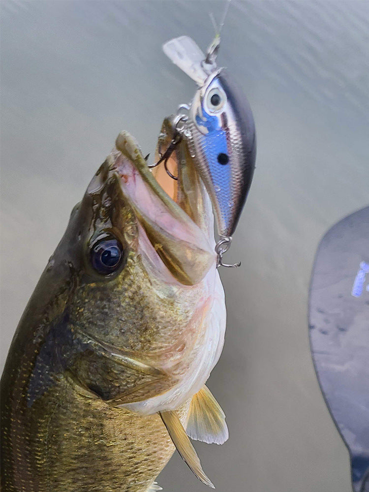 Champ Crankbaits 55mm 6.8g