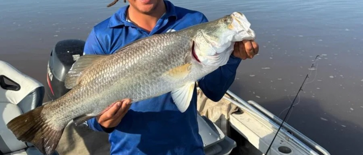 Barra Season Isn’t Over: Impoundment Barra on the Irukandji Megaprawn DTF