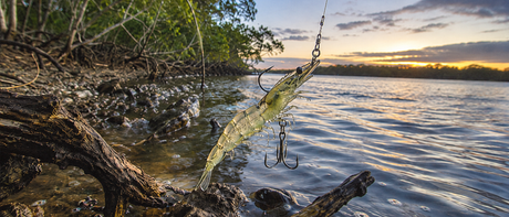 Tie One On: How to Fish the Irukandji Megaprawn DTF