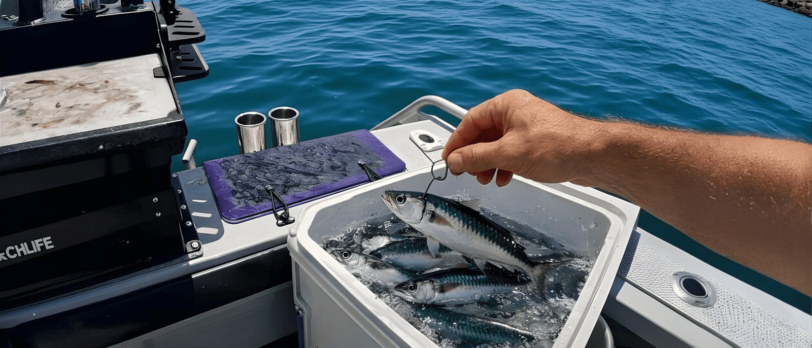 How to Keep Live Bait Alive Longer for Game Fishing Success