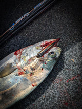 Reaper Lure Pack - 6 Pack