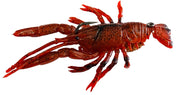 Grand Lively Crayfish 75mm 20g