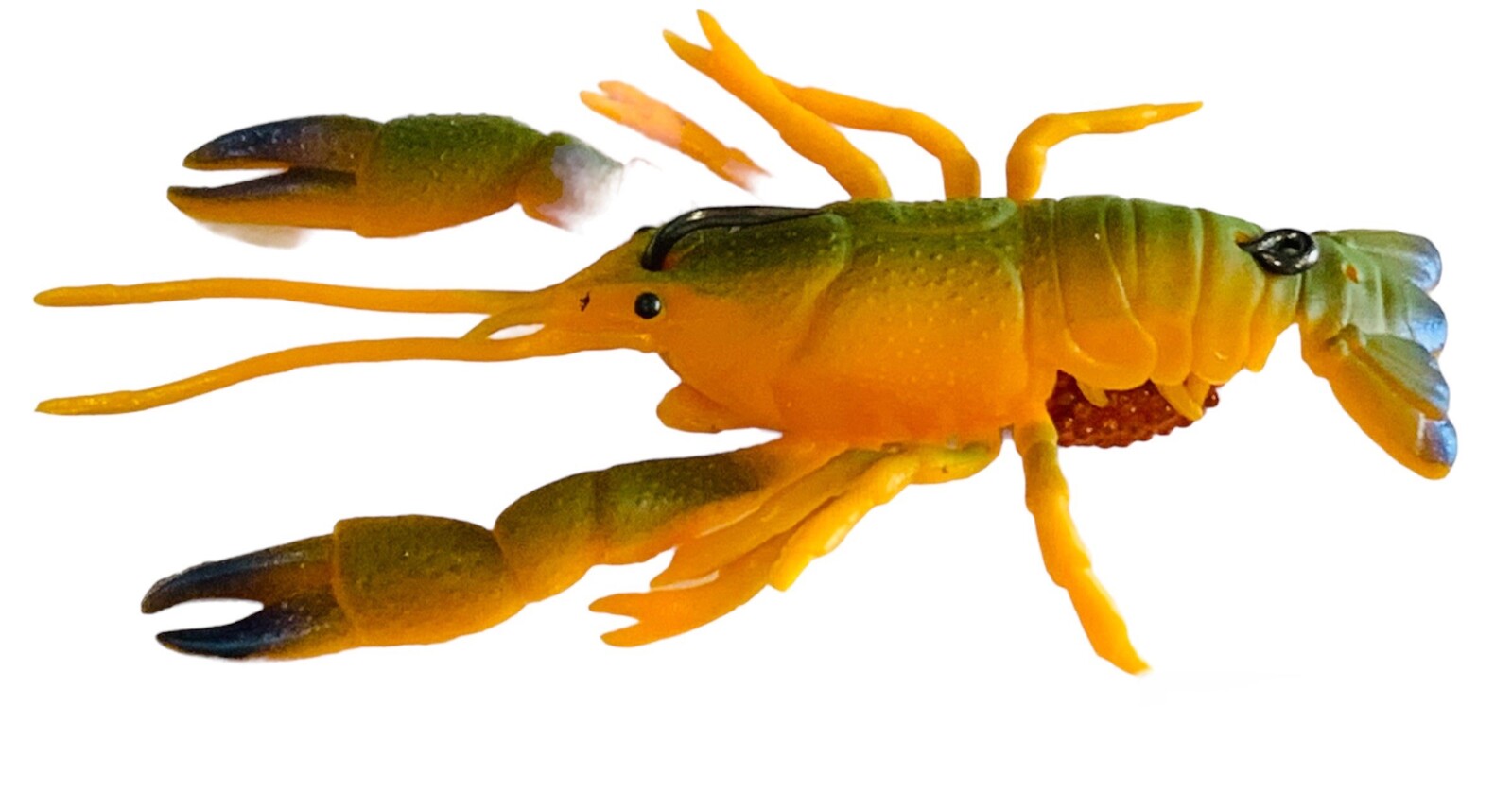 Multiple Variations of Grand Lively Crayfish for Sale