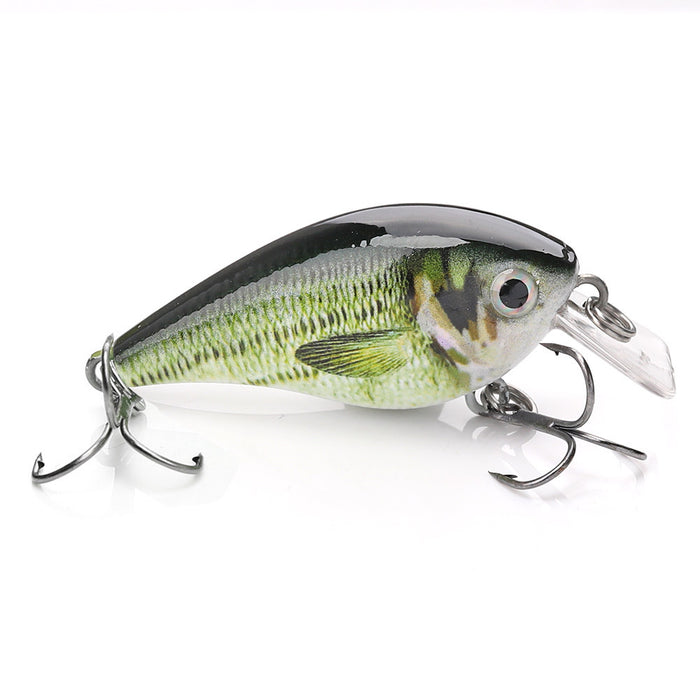 Murray Cod Lures for Sale Online | Fishing Superstore