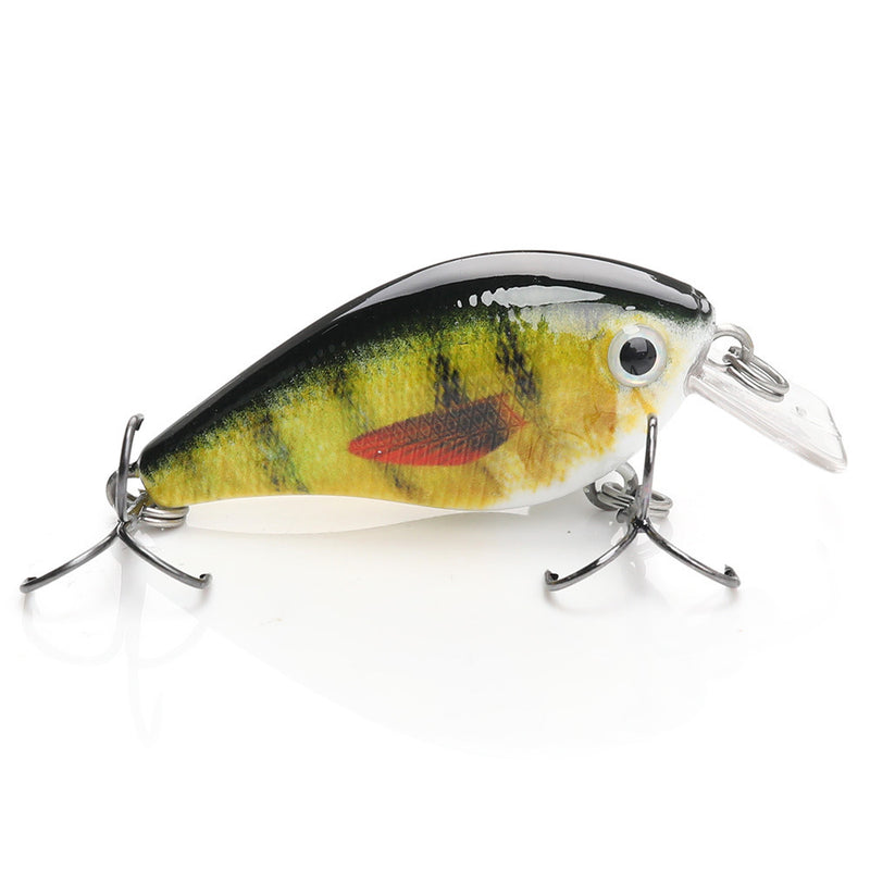 Murray Cod Lures for Sale Online | Fishing Superstore