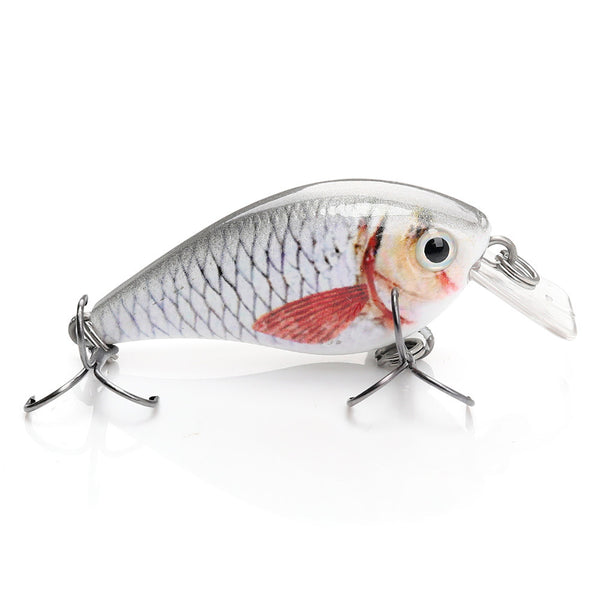Murray Cod Lures for Sale Online | Fishing Superstore