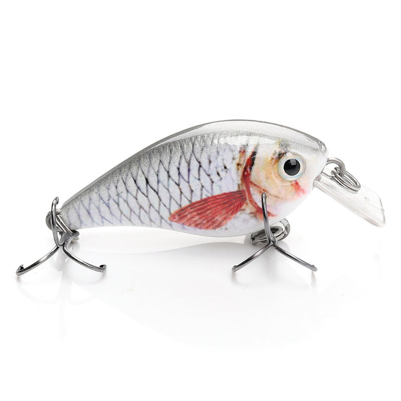 Murray Cod Lures for Sale Online | Fishing Superstore