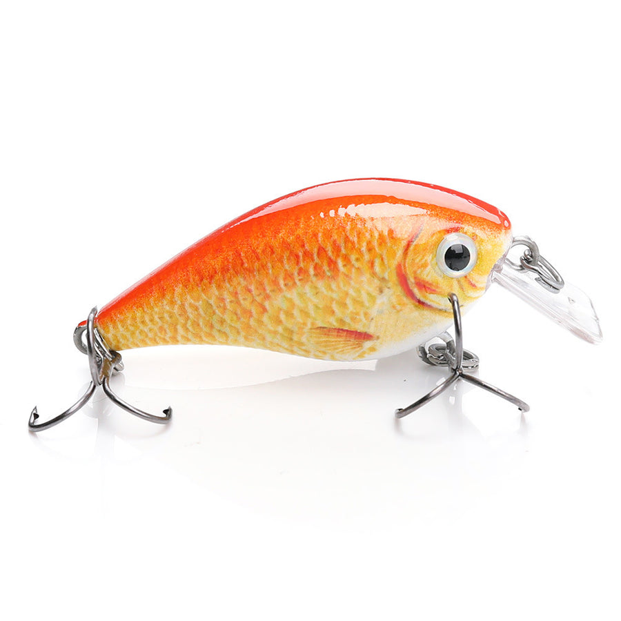Murray Cod Lures for Sale Online | Fishing Superstore