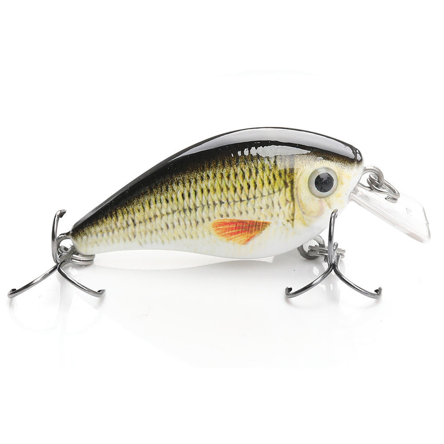 Cod Lure Collection Murray Cod Lures for Sale Online | Fishing Superstore
