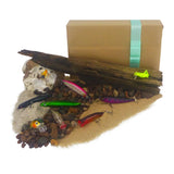 The Top Water Fishers Gift Set