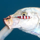 The Reef Jigger Gift Pack