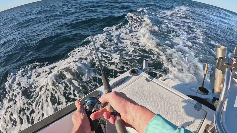 Kingfish Lure Pack