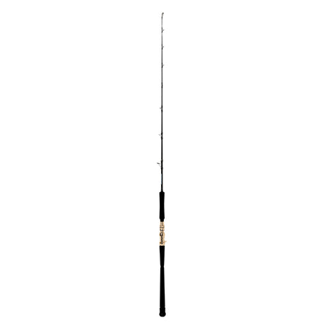 GENESIS 25kg Class I Spiral Wrap - Carbon Kevlar Jigging Rod