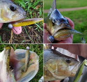 Minnow Soft Plastic Fishing Lure 68mm 2.3g 10pc-Bag